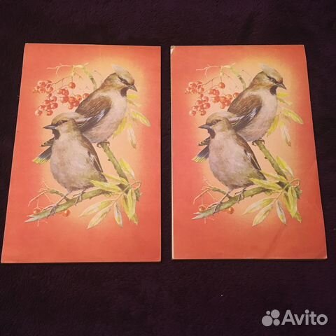 Блокнот СССР