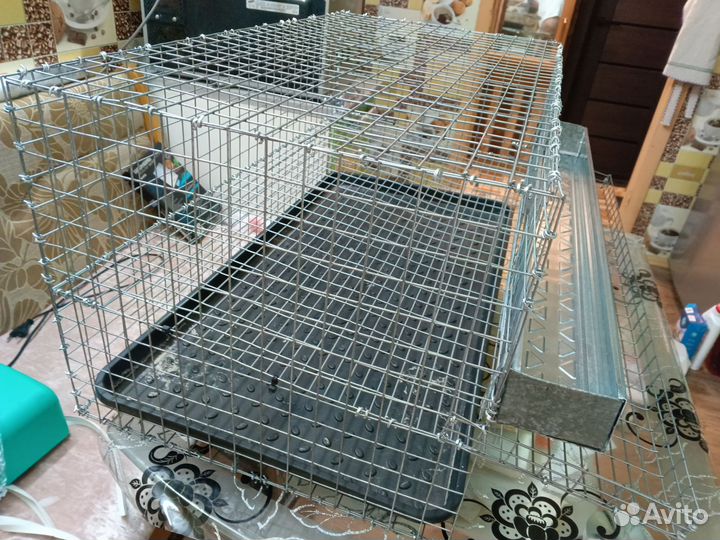 Клетки для перепелов