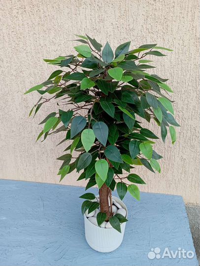 Фикус искусственный