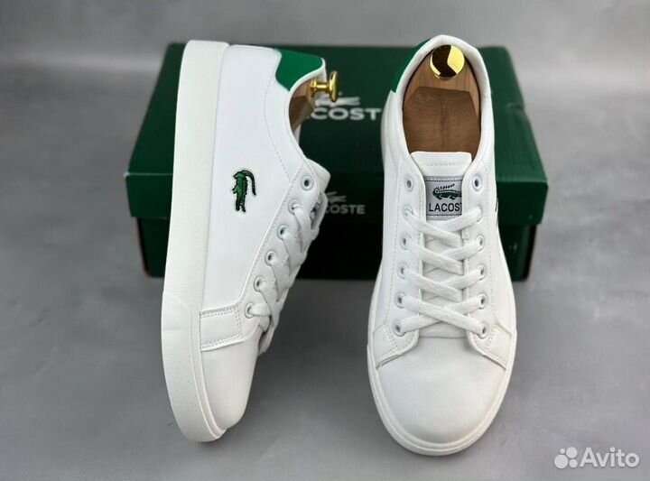 Мужские кроссовки Lacoste