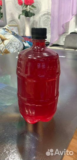 Сироп красники (клоповки) для здорового питания