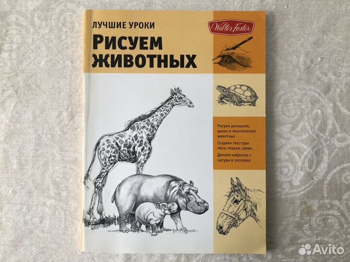 Книги: уроки рисования