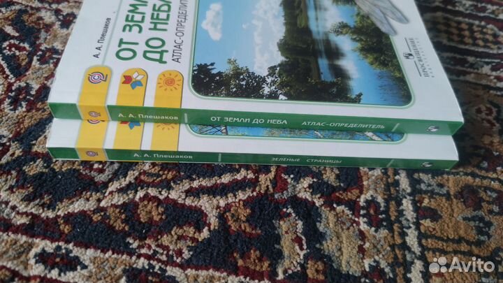 Плешаков зеленые страницы и от земли до неба