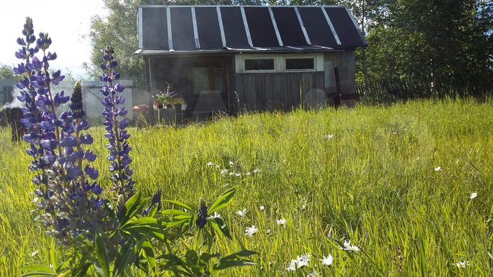 Дача 20 м² на участке 9 сот.