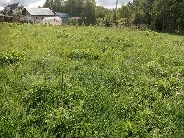 Участок 8 сот. (СНТ, ДНП)