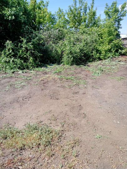 Дом 56 м² на участке 8 сот.