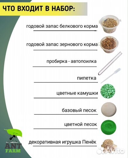 Муравьиная ферма с муравьями Космос М
