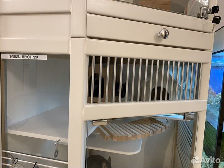 Витрина для шиншилл, дегу «Восход»