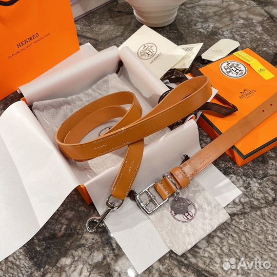 Ошейник и поводок для собаки Hermes 76