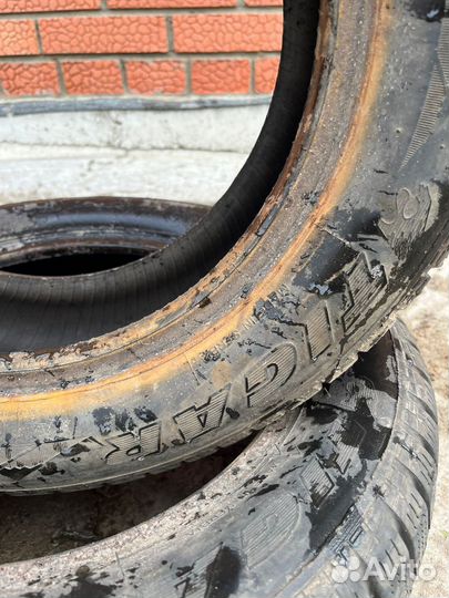 Tigar Sigura Stud 185/60 R14 82T