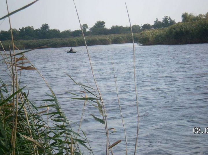 Участок 31 сот. (СНТ, ДНП)