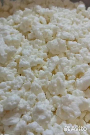 Домашняя молочная продукция