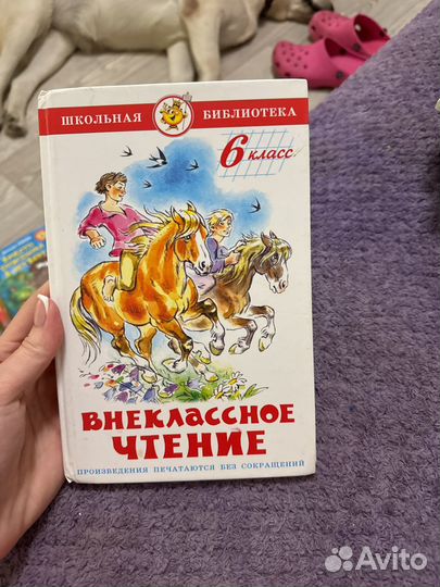 Внеклассное чтение