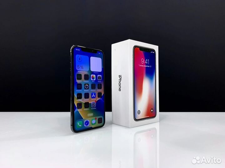 iPhone X, 256 ГБ