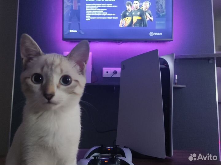 PS5 + 120 Игр (Прокат / Аренда #PS5x28)