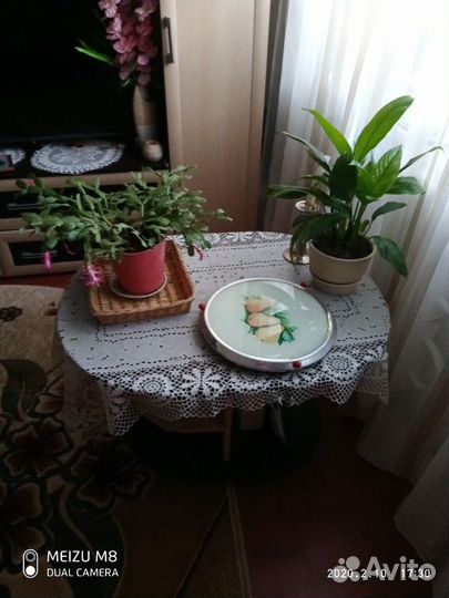 Тортница сср