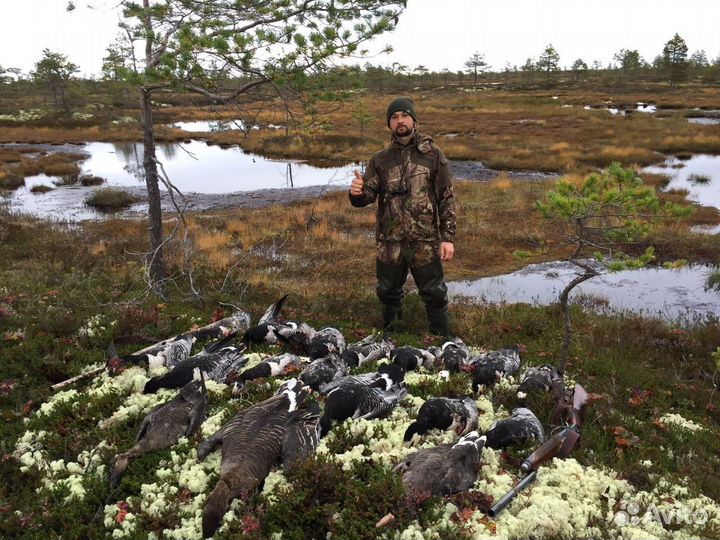 Охота с чучелами Манком Засидкой