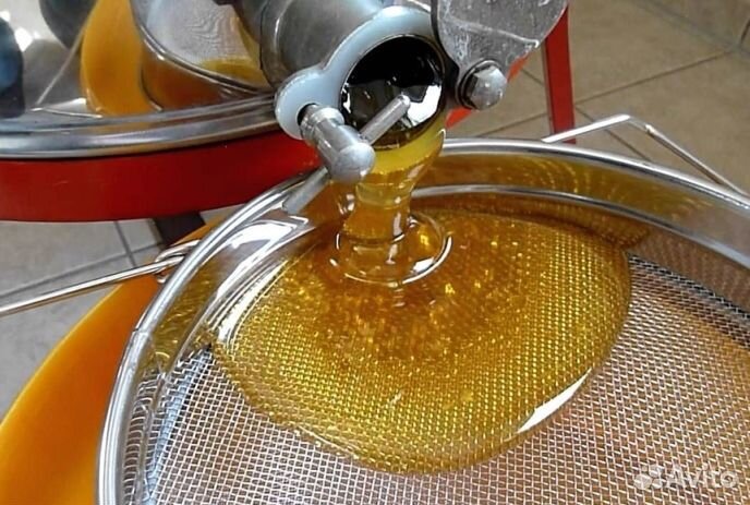Мёд натуральный с Алтая опт. минимально 16 кг