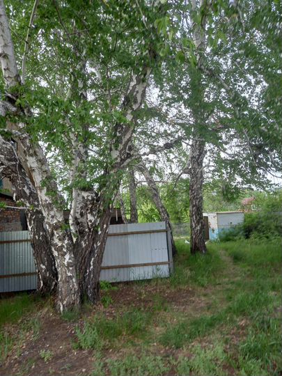 Участок 5 сот. (СНТ, ДНП)