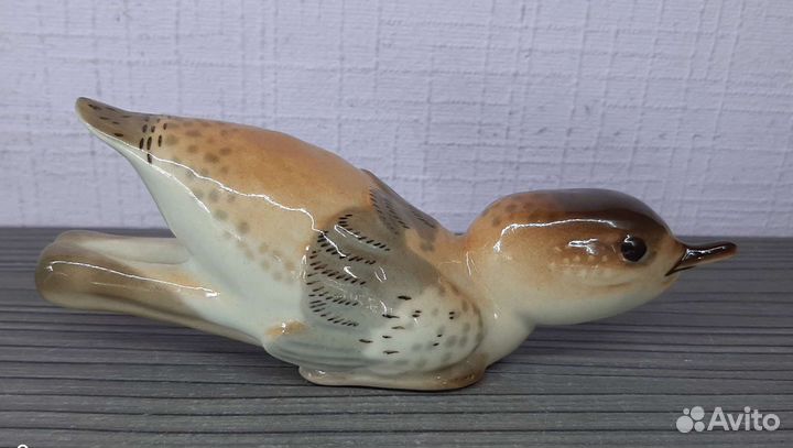 Снегирь, утка нырок. лфз