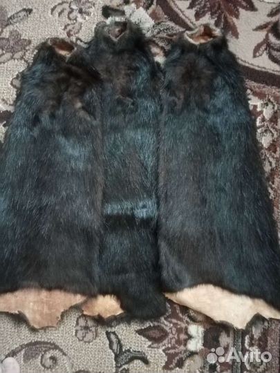 Шкурка животного внутрии