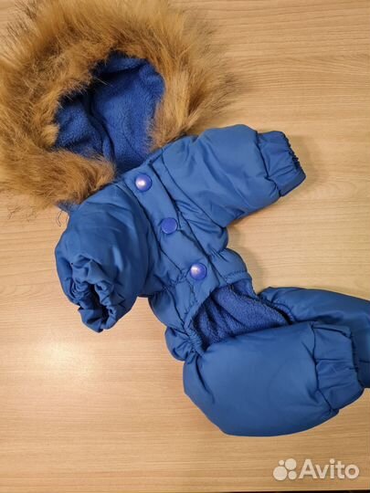 Одежда для собак