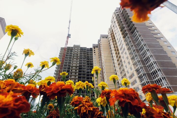 1-к. квартира, 42,3 м², 12/22 эт.