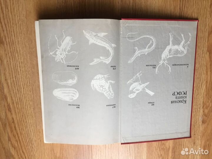 Красная Книга РСФСР Животные 1985