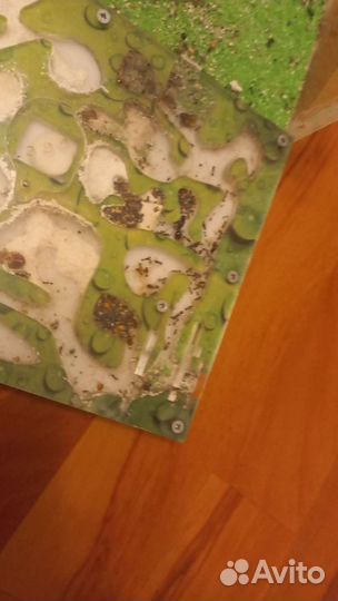 Муравьиная ферма с муравьями