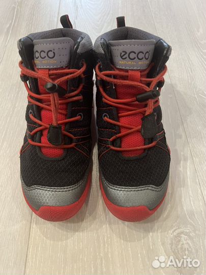 Ботинки ecco 31