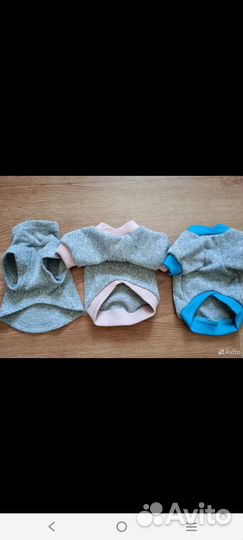 Одежда для маленьких собак