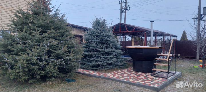 Красота и здоровье