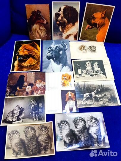 Открытки Календари Кошки Собаки Животные Раритет