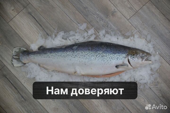 Морепродукты гарантия качества