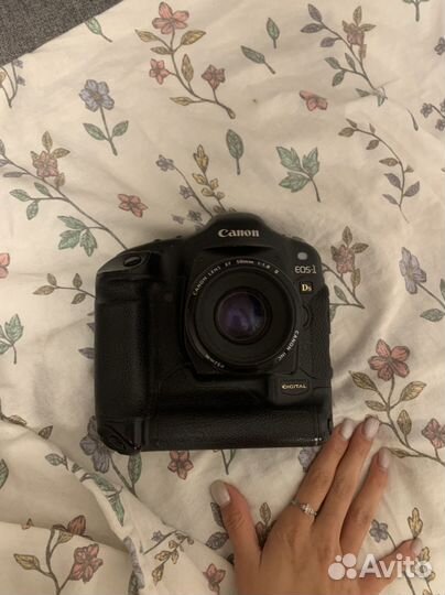 Canon eos 1ds + canon 50 1.8