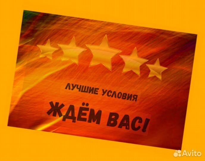 Наборщик заказов Без опыта Еженедельные выплаты