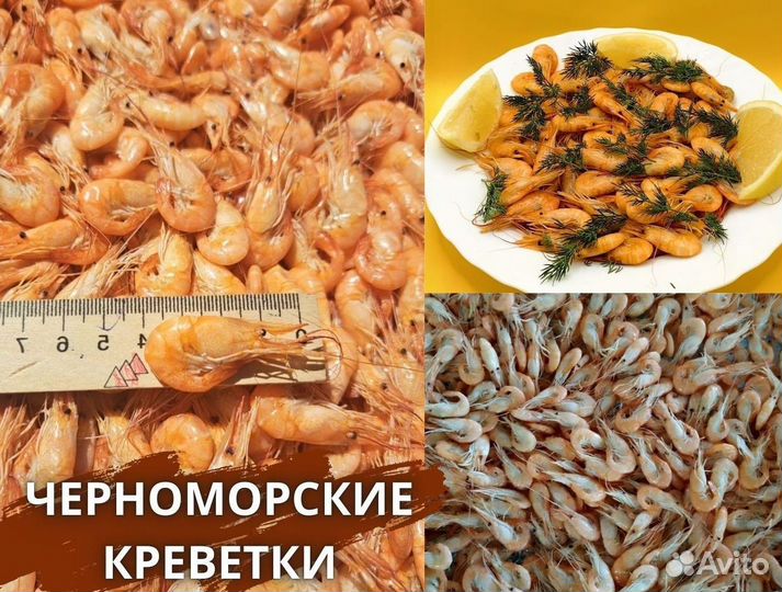 Креветка черноморская