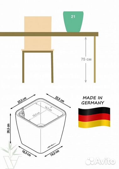Аглаонема Страйпс в белом кашпо
