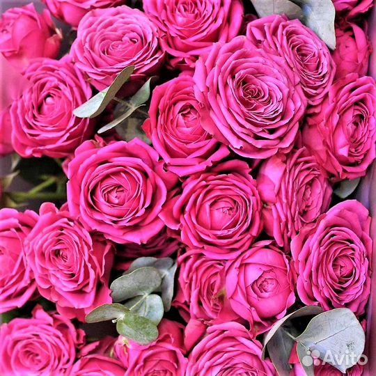 Пионовидные кустовые розы оптом со склада