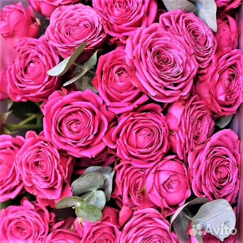 Пионовидные кустовые розы оптом со склада