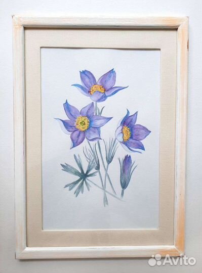 Картина, ботаническая акварель