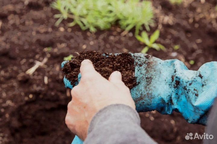 Трехкомпонентный грунт