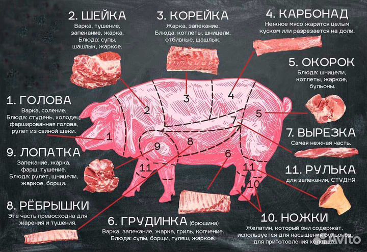 Мясо свинина домашняя,зерновой откорм
