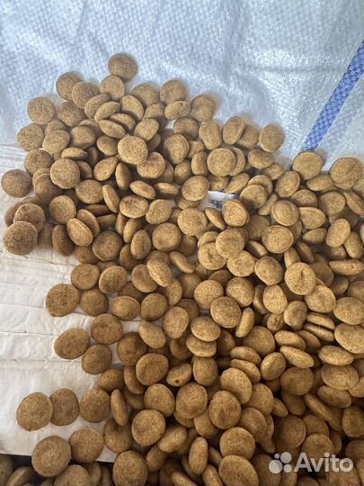 Корм для собак супер премиум