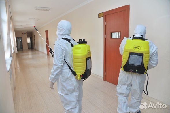 Дезинфекция Дезинсекция Дератизация
