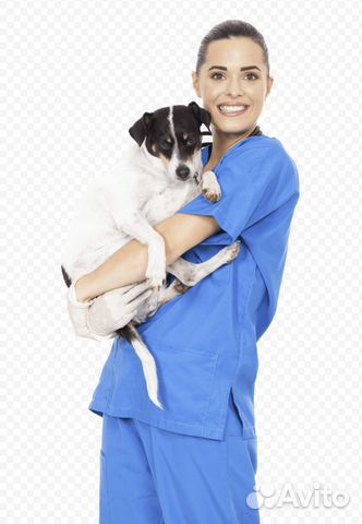 Ветеринарный врач на дом