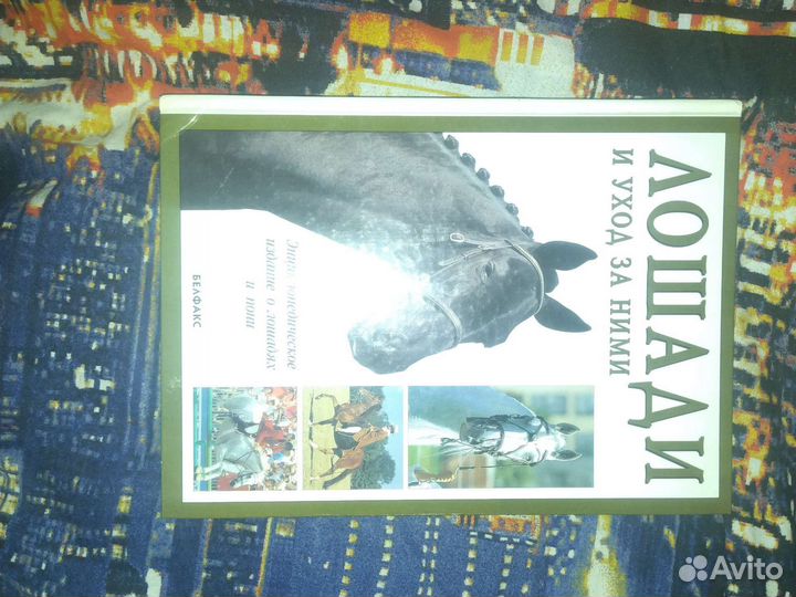 Лошади и уход за нимн, энциклопедия