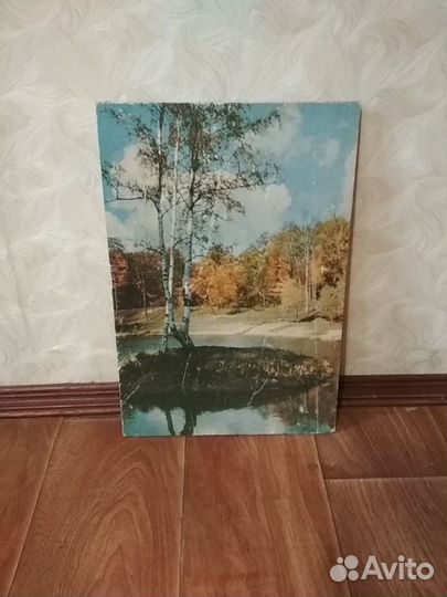 Картины, панно