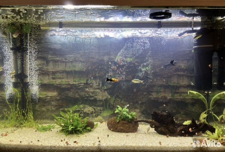 Аквариум