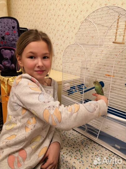 Клетка для попугая